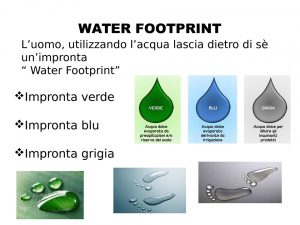 Pagina 03 water footprint PDF Il futuro dell’acqua: acqua risorsa e diritto