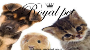 Slide 07 PDF Royal Pet