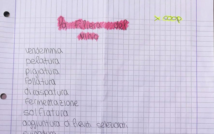 La filiera del vino e tutte le fasi della creazione del vino scritte da un bambino sul suo quaderno