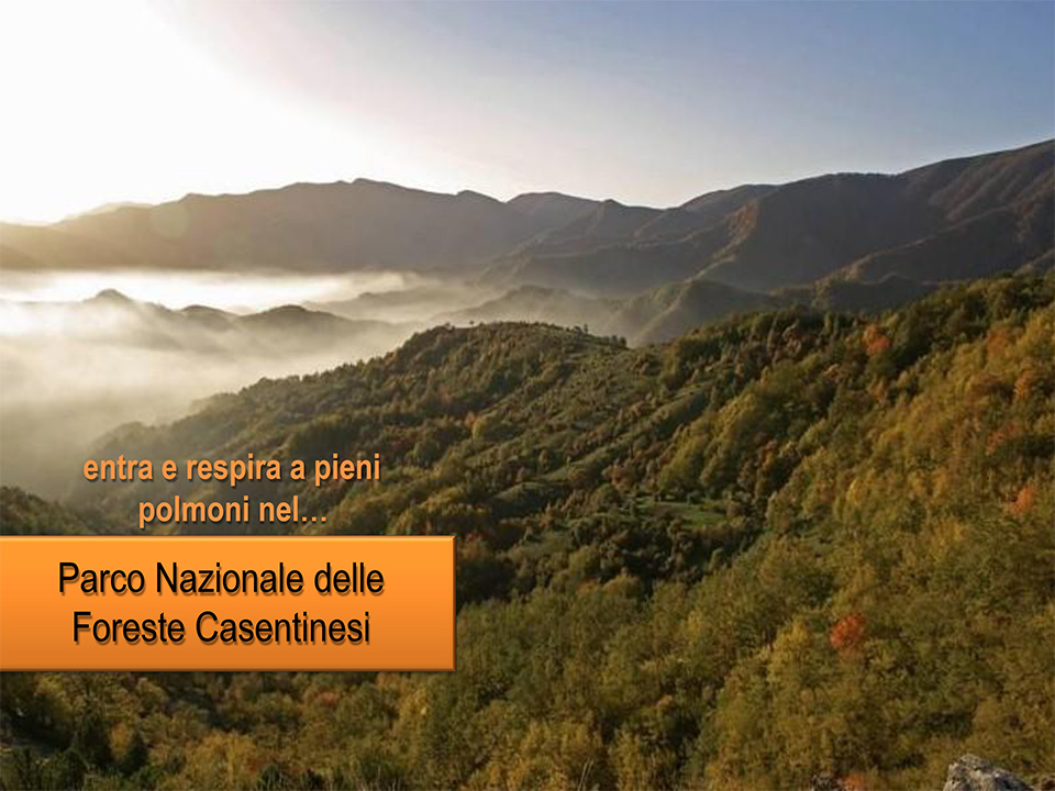 Copertina PDF entra e respira a pieni polmoni nel parco nazionale delle foreste Casentinesi